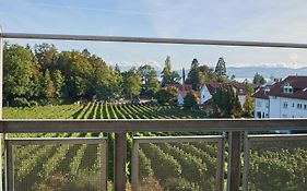 Ferienwohnungen Weingut Deufel